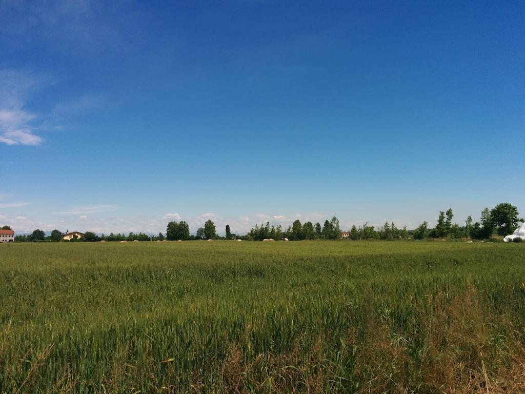 Agriturismo La Chioccia Campagna Lupia Exteriér fotografie